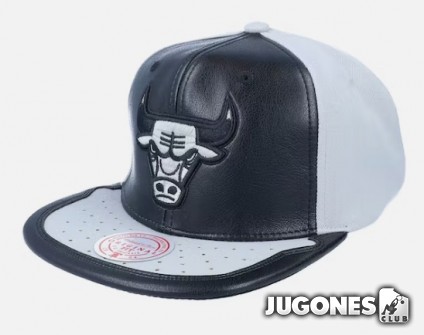 Gorra Chicago Bulls Mitchell & Nes Day One