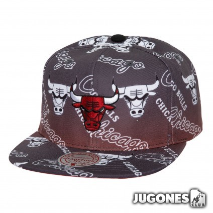 Destination Leisure Deadstock Chicago Bulls