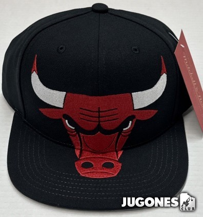 NBA XL Logo Chicago Bulls