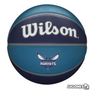 Balon Wilson NBA Team Tribute Charlotte Hornets