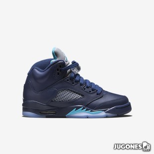 Air Jordan 5 Retro GS `Hornets`