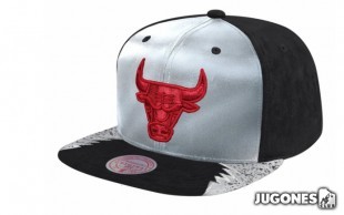 Gorra Snapback NBA Day 5 Chicago Bulls