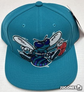 NBA XL Logo Charlotte Hornets