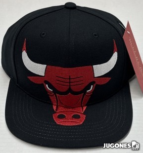 NBA XL Logo Chicago Bulls