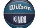 Balon Wilson NBA Team Tribute Charlotte Hornets