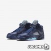 Air Jordan 5 Retro GS `Hornets`